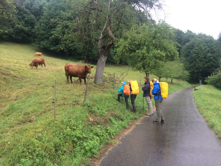 Ge(h)danken auf dem Jakobsweg – Etappe 2